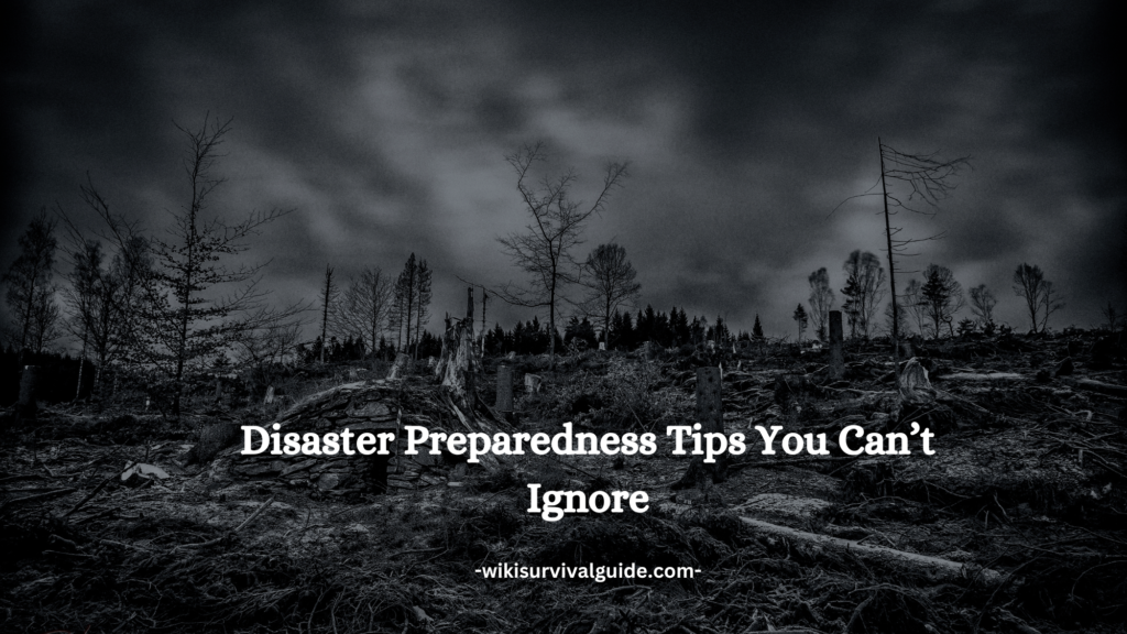 Top 200+ Disaster Preparedness Tips