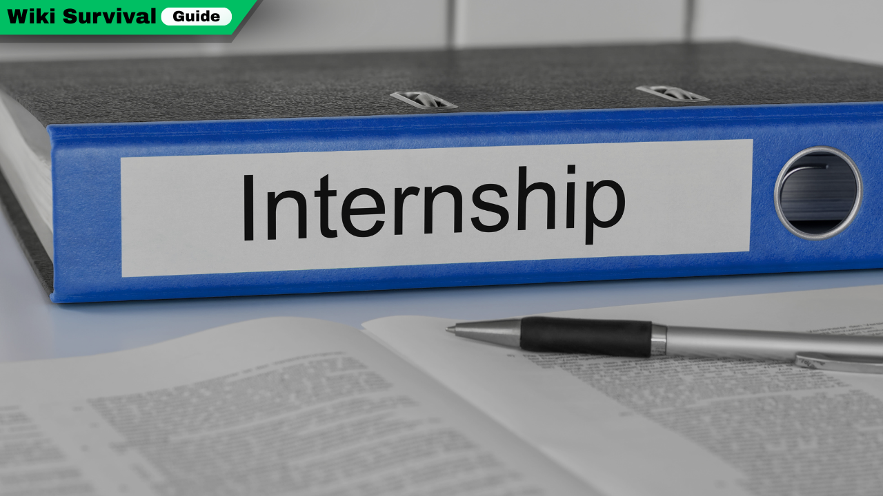 Internship Survival Guide: Tips to Shine