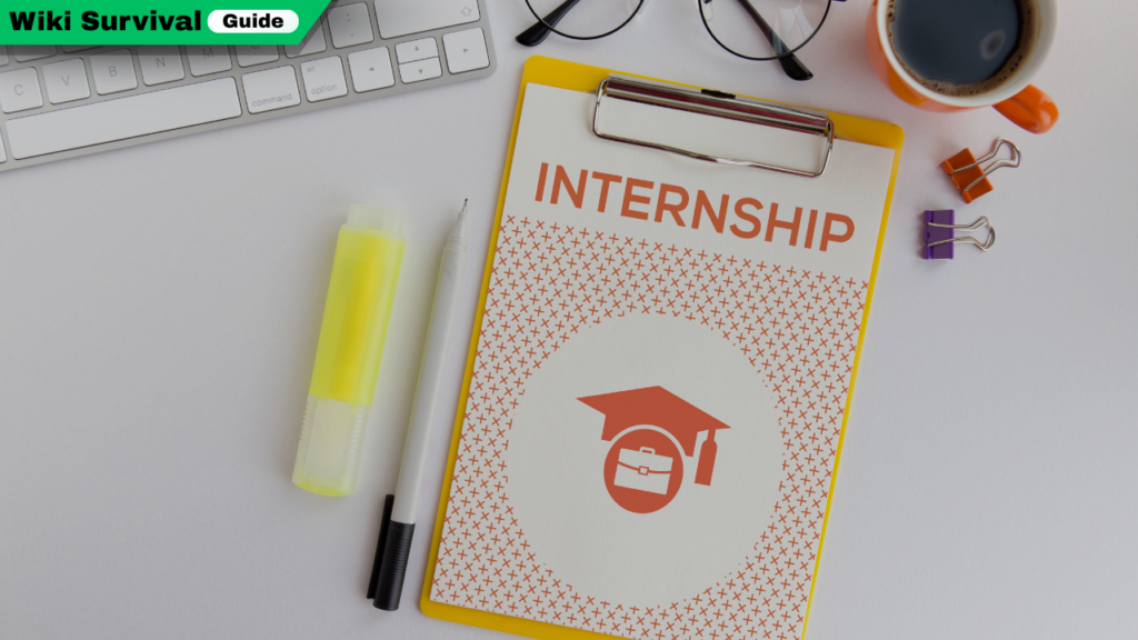 Internship Survival Guide: Tips to Shine